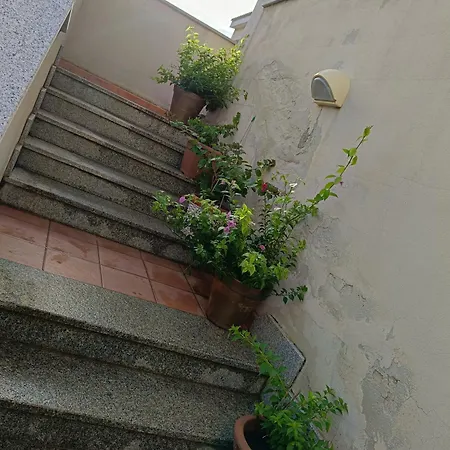 Relax Con Amici Animali Appartement Rena Majore